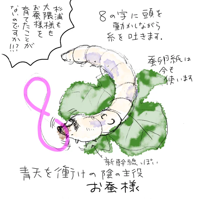 こちらも再掲
#養蚕 #青天を衝け 