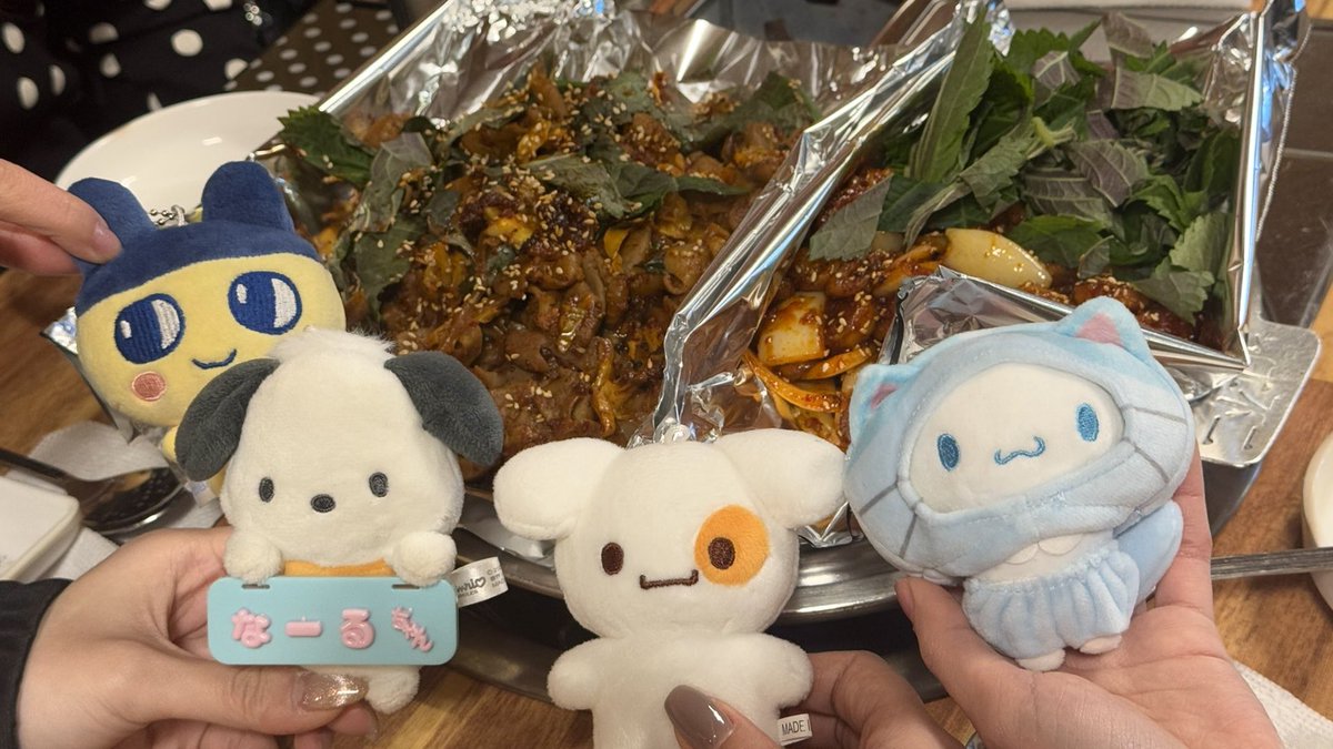 하우돈통치유😵‍💫❤️‍🩹