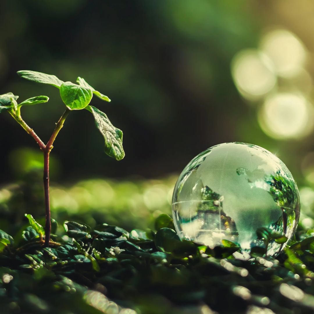 Every step counts toward a greener future! 🌎💚

✅ Reduce, reuse, recycle ♻️
✅ Save energy &amp; water 💡🚿
✅ Use public transport or cycle 🚲
✅ Support sustainable brands 🌿

Learn more about #Knowing project on: knowing-climate.eu

#climatescience #adaptation #mitigation