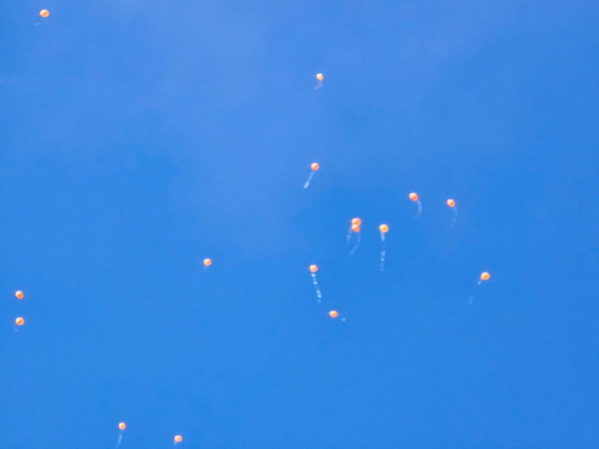 zivknoll's tweet image. For Shiri and her babies assassinated…
#hamas #palestinian #atrocities