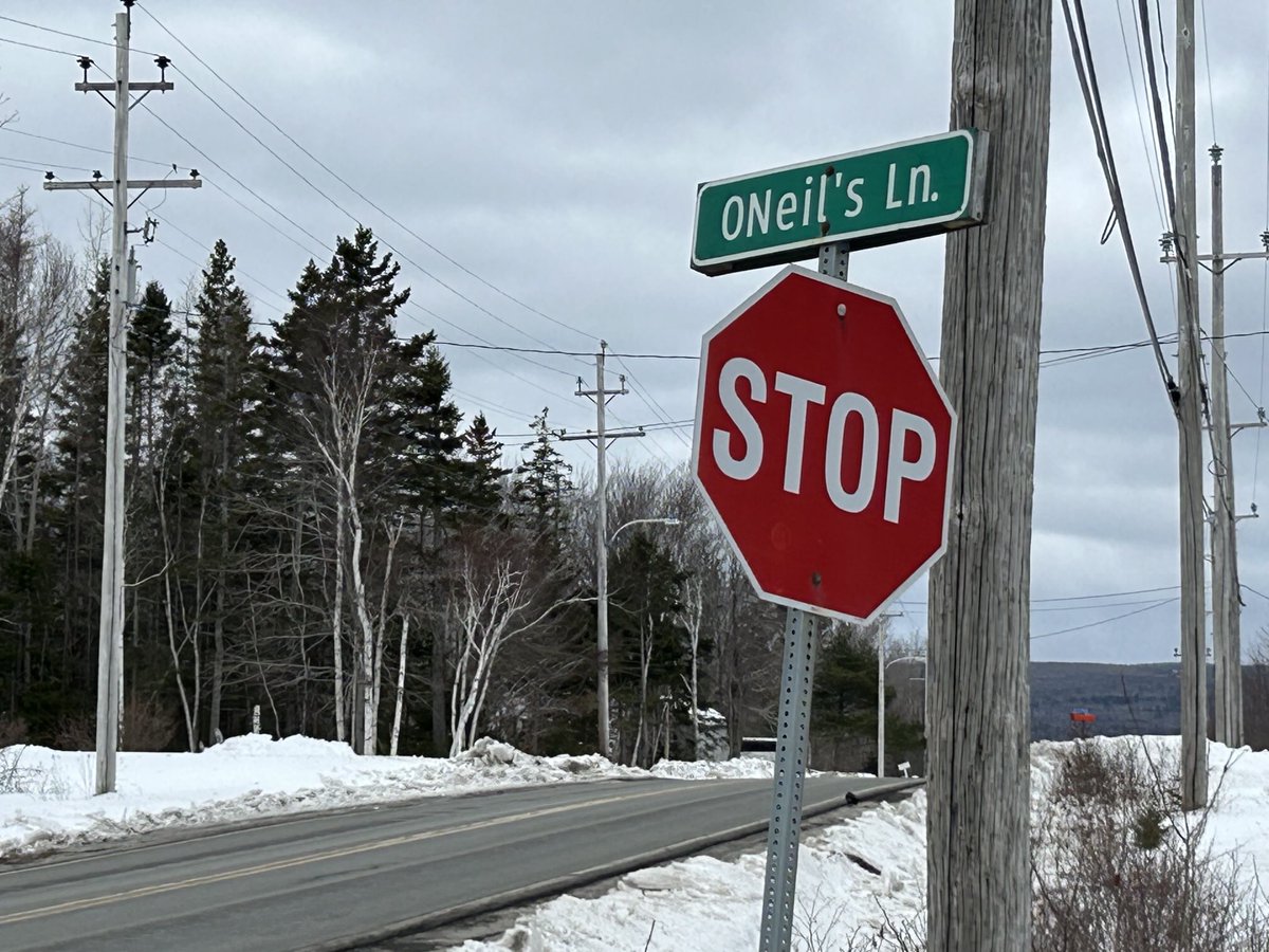 Ryan MacDonald (@ryanmacd_ctv) on Twitter photo BREAKING: A 50-year-old man has been arrested in connection with a fatal hit-and-run on Keltic Drive last week. Police say Jason Gordon Cashin will appear in court today on a charge of Failing to Stop After an Accident Causing Death. <a href="/CTVAtlantic/">CTV Atlantic</a> BREAKING: A 50-year-old man has been arrested in connection with a fatal hit-and-run on Keltic Drive last week. Police say Jason Gordon Cashin will appear in court today on a charge of Failing to Stop After an Accident Causing Death. <a href="/CTVAtlantic/">CTV Atlantic</a>