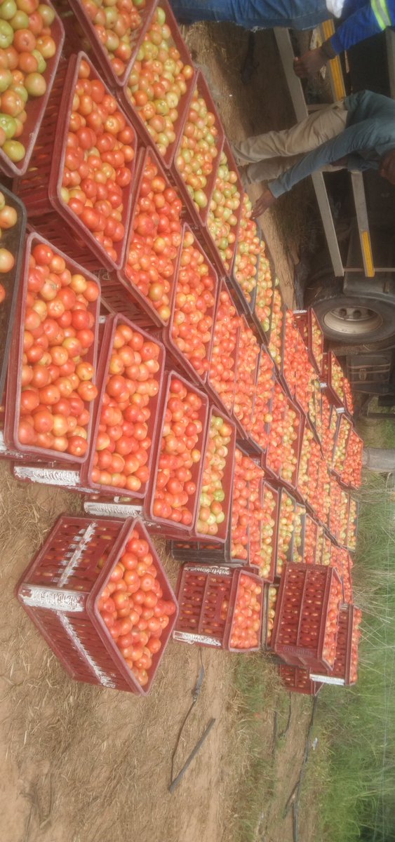 Slowly getting the job done.