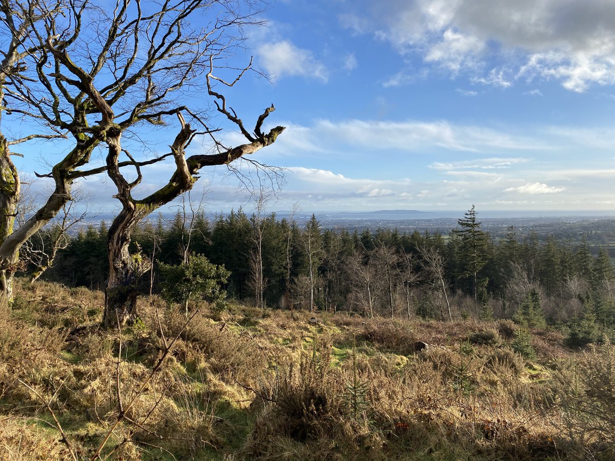 SavetheHellfire's tweet image. And all that winter sun
Has ever gave to me
Was a couple hours of light
And a heat I couldn't feel
So don't you come to me
So bright and bold
You promised me the world
But you left it in the cold
@lorrainemnash #WinterSun #Wednesdayvibe  #weather