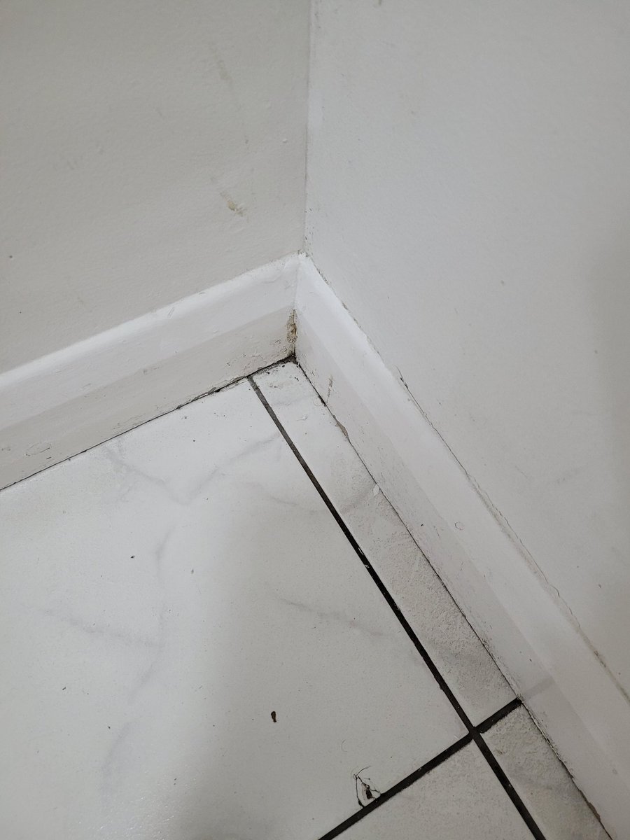 explorers court tweet media