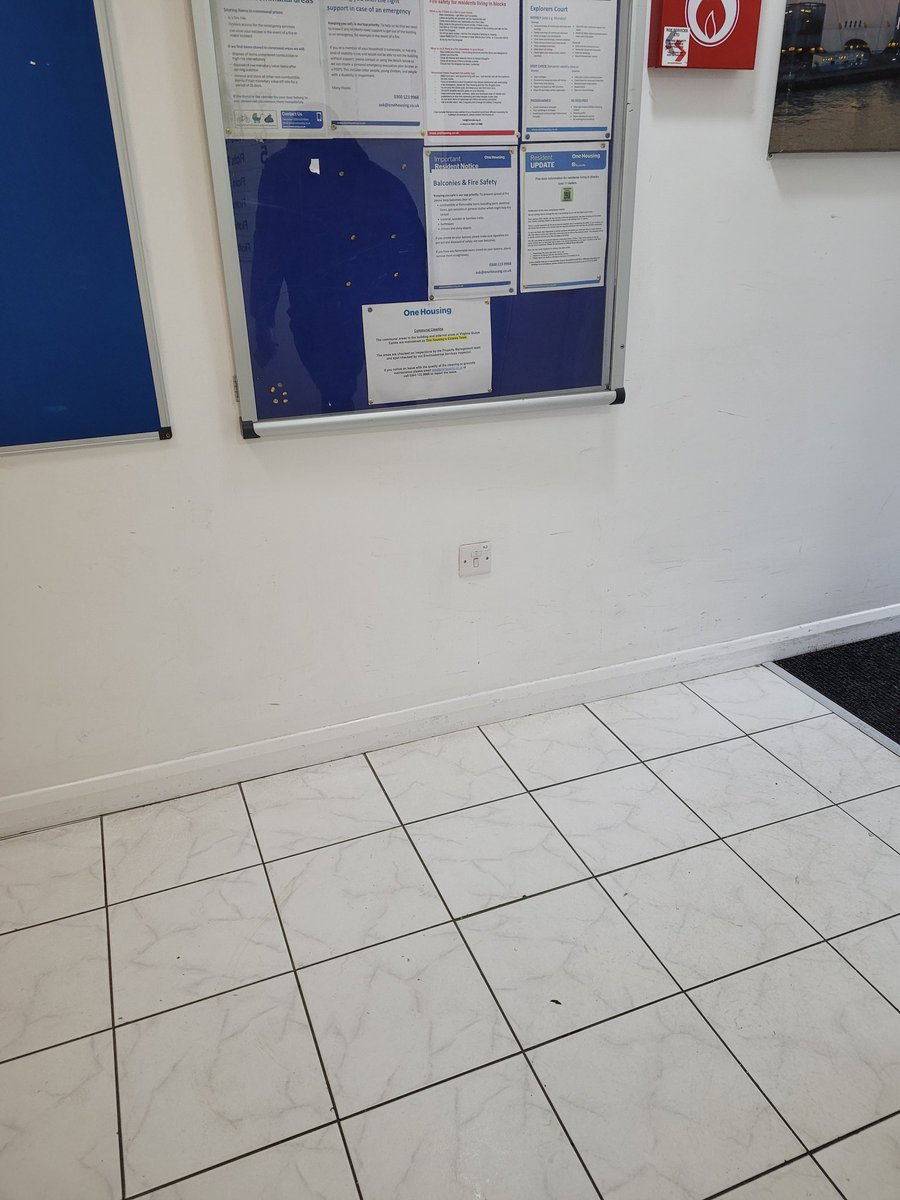 explorers court tweet media