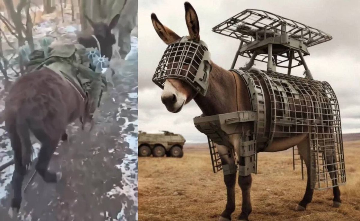 Stoport's tweet image. Ослы как последнее оружие России