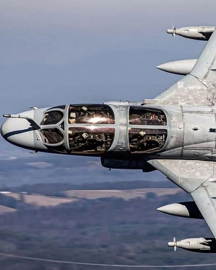 Virginie Sigonney 🇫🇷 tweet media