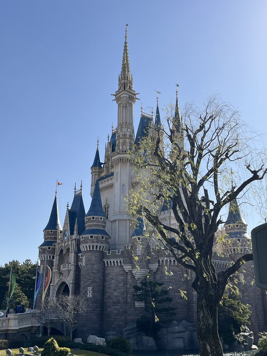 souda_555's tweet photo. 人生初TDL（２週間前 https://t.co/9cYITboX4l