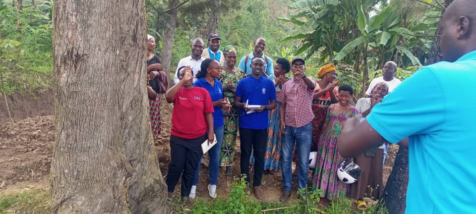 SAFE NGO tweet media