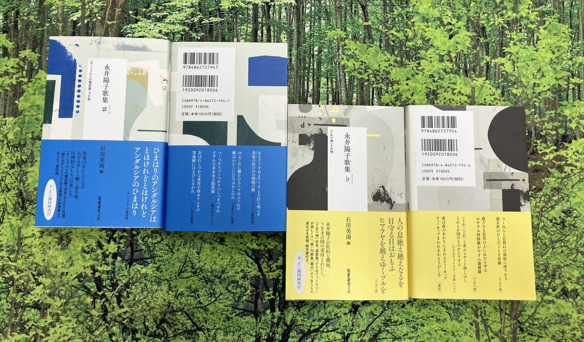 歌論歌学集成 別巻　２/三弥井書店/本間洋一（単行本） 古今和歌集全評釈 （中）』（片桐 洋一）｜講談社