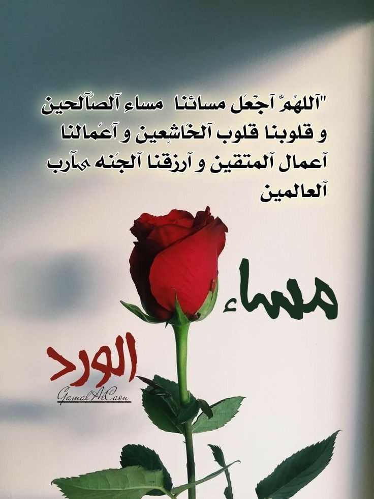 يارب أدعوك دعاء لا أعرف كيف أرتبه،
 فأنت تبصر الفؤاد وتلمس حاجة قلبي بيدك فاللهم أيام كما أحب وحالاً إلى ما هو أفضل وهمًا لا يبقى قائمًا في صدري
 وفرحة ليس لها إنتهاء وأمنياتي التي أنتظرها اللهم طوّق قلبي بعقودٍ من الرضا والراحة