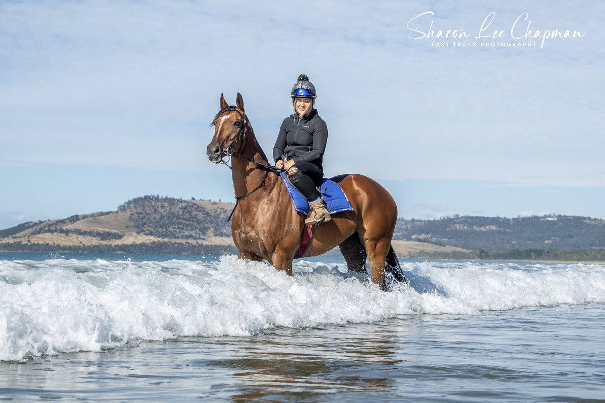 FastTrackPhotog's tweet image. Thinking of all the connections of The Inevitable after his tragic passing today. He may have been pint sized, but he had such a big heart, loved to race and was such a favourite in Tassie and around the country. RIP The Inevitable @TasracingAus @snowyclark