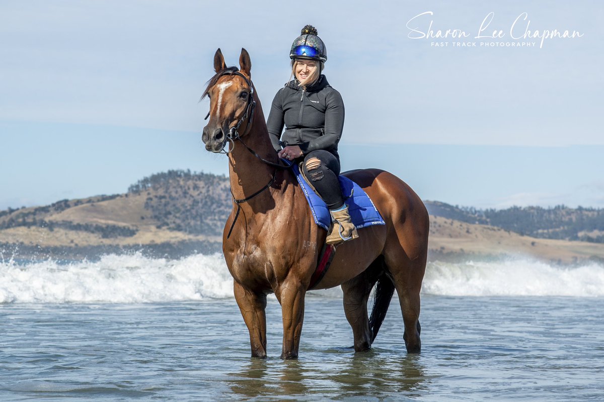 FastTrackPhotog's tweet image. Thinking of all the connections of The Inevitable after his tragic passing today. He may have been pint sized, but he had such a big heart, loved to race and was such a favourite in Tassie and around the country. RIP The Inevitable @TasracingAus @snowyclark