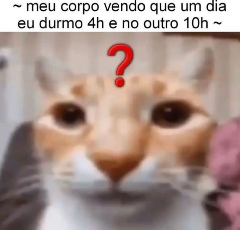 Trouxinha (@euovitinn) on Twitter photo 