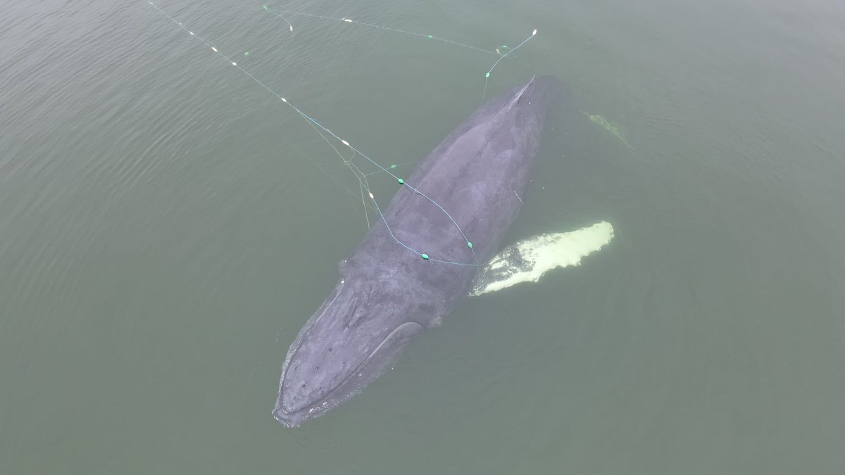 Sebastian Kluska tweet media