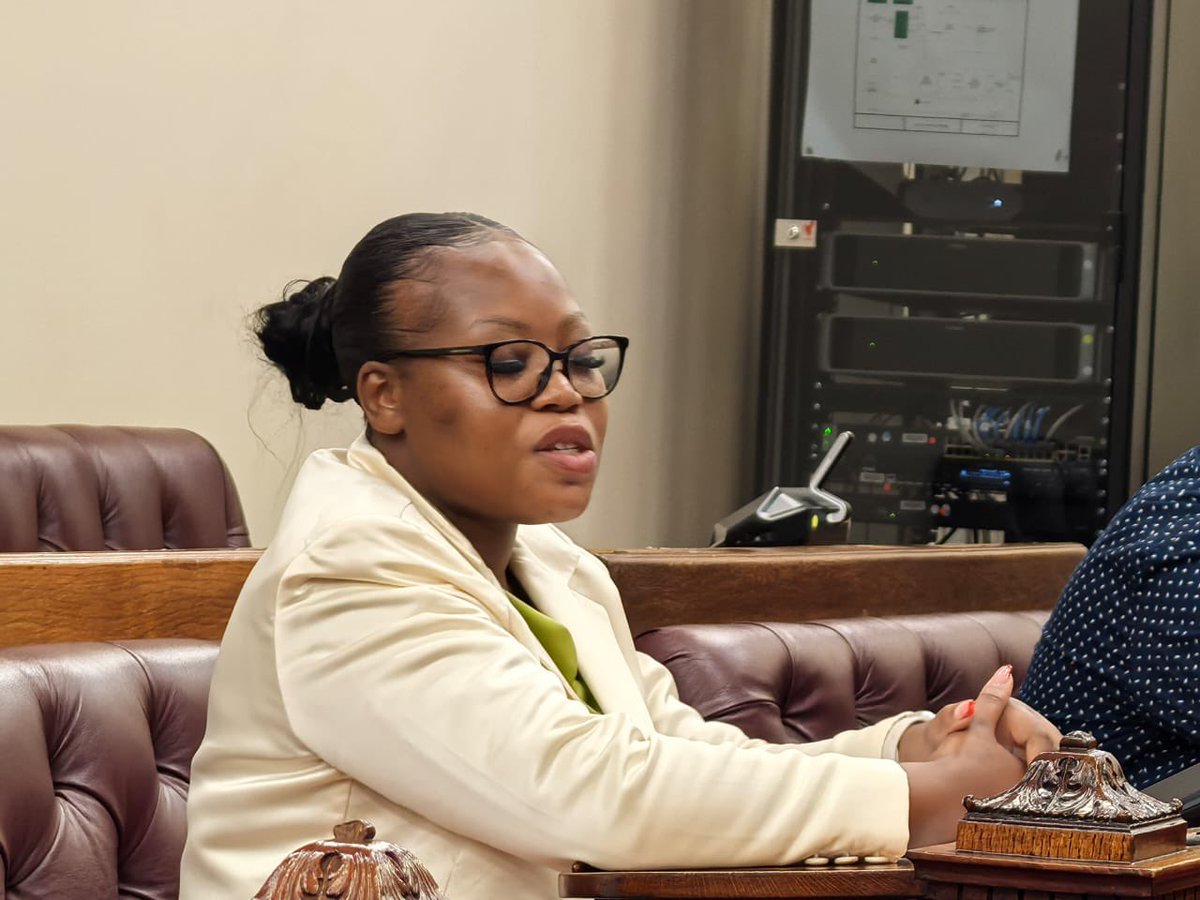 GovernanceClus1's tweet photo. Dr Sunshine Minenhle Myende at her #NYDAInterviews: The NYDA faces fiscal challenges and can only partially fulfill its mandate. It's great to see collaboration with various entities and government departments @ParliamentofRSA @NYDARSA @DWYPD_ZA @FinanceCluster @EconoCluster https://t.co/A8mGwjHrTn