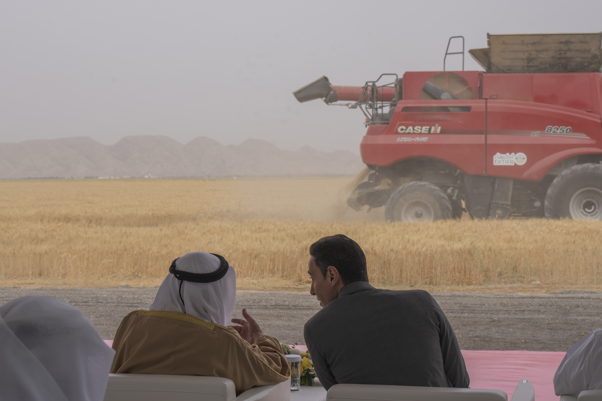 الصورة