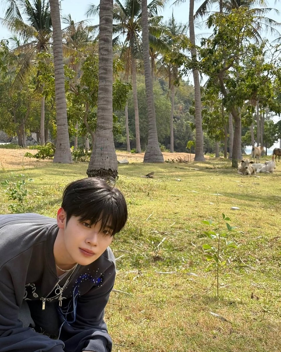 traesa_'s tweet photo. 앀ㅋㅋㅎㅋㅎㅎㅋㅎㅋㅋ 살다살다 본인을 소로 모에화 하려는 아이돌은 첨보네ㅋㅋㅋㅋㅋㅋㅋㅋ https://t.co/LigNAnZ3b5