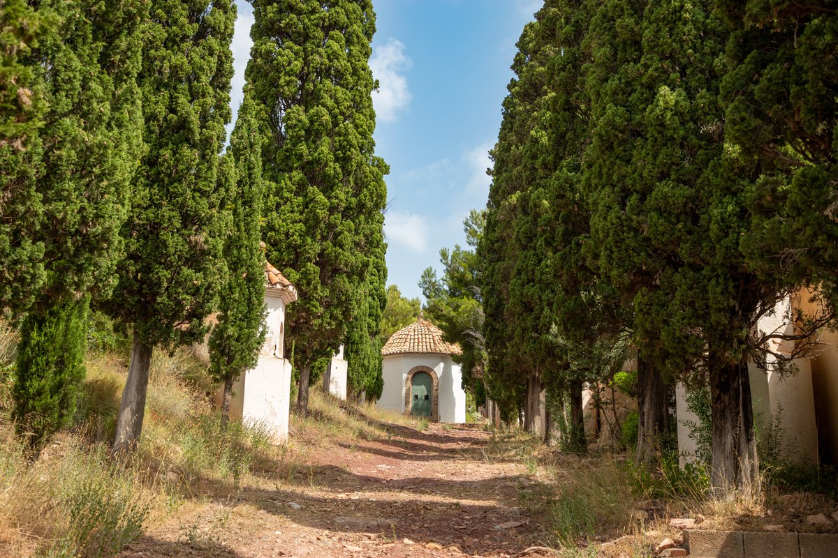 valenciaturisme's tweet image. Descubre Segart 🏞️🏰, rodeado de montañas y enclavado en plena Sierra Calderona,  es perfecto para una escapada de naturaleza y patrimonio🌿✨

#Segart #València #Valènciaturisme @dipvalencia @c_valenciana @ajsegart