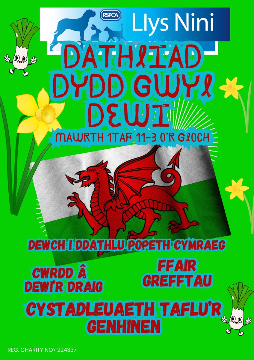 LlysNini's tweet image. All welcome to our St.David's Festival &amp;amp; celebrate everything Welsh! Craft  fayre with lots of local retailers, meet Dewi the Dragon. Plus Wales' ONLY Toss the Leek contest, could you be crowned the Leek Tossing King/Queen of the the 2025 ! @KevJohnscymru @ITVDean  @Ruth_ITV