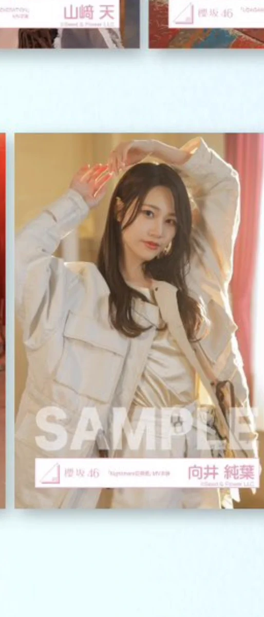 櫻坂46 on X: 