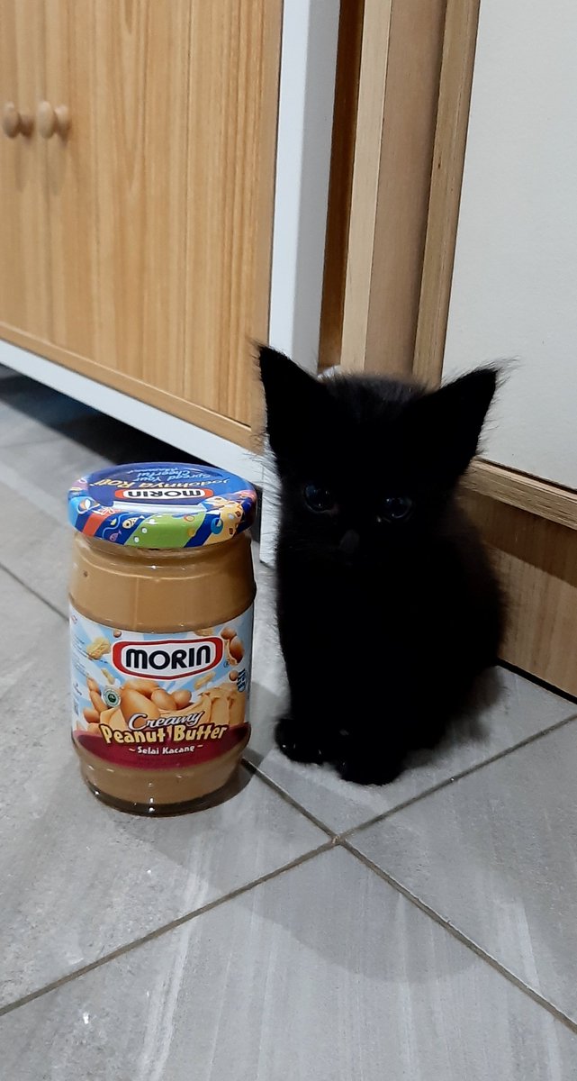 gforgea's tweet image. "emang aku keliatan cimit ya? •• 🥺🥺🥺"

-haruka 🎋