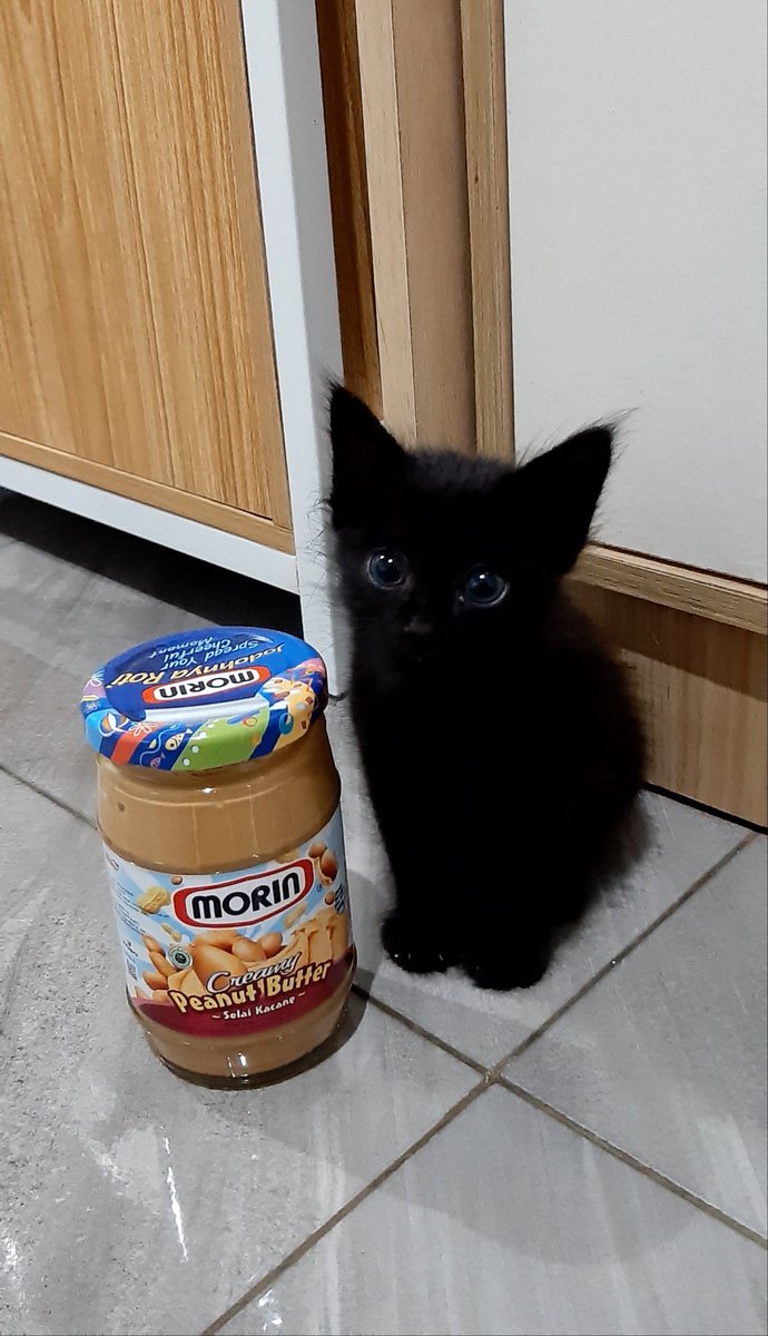 gforgea's tweet image. "emang aku keliatan cimit ya? •• 🥺🥺🥺"

-haruka 🎋