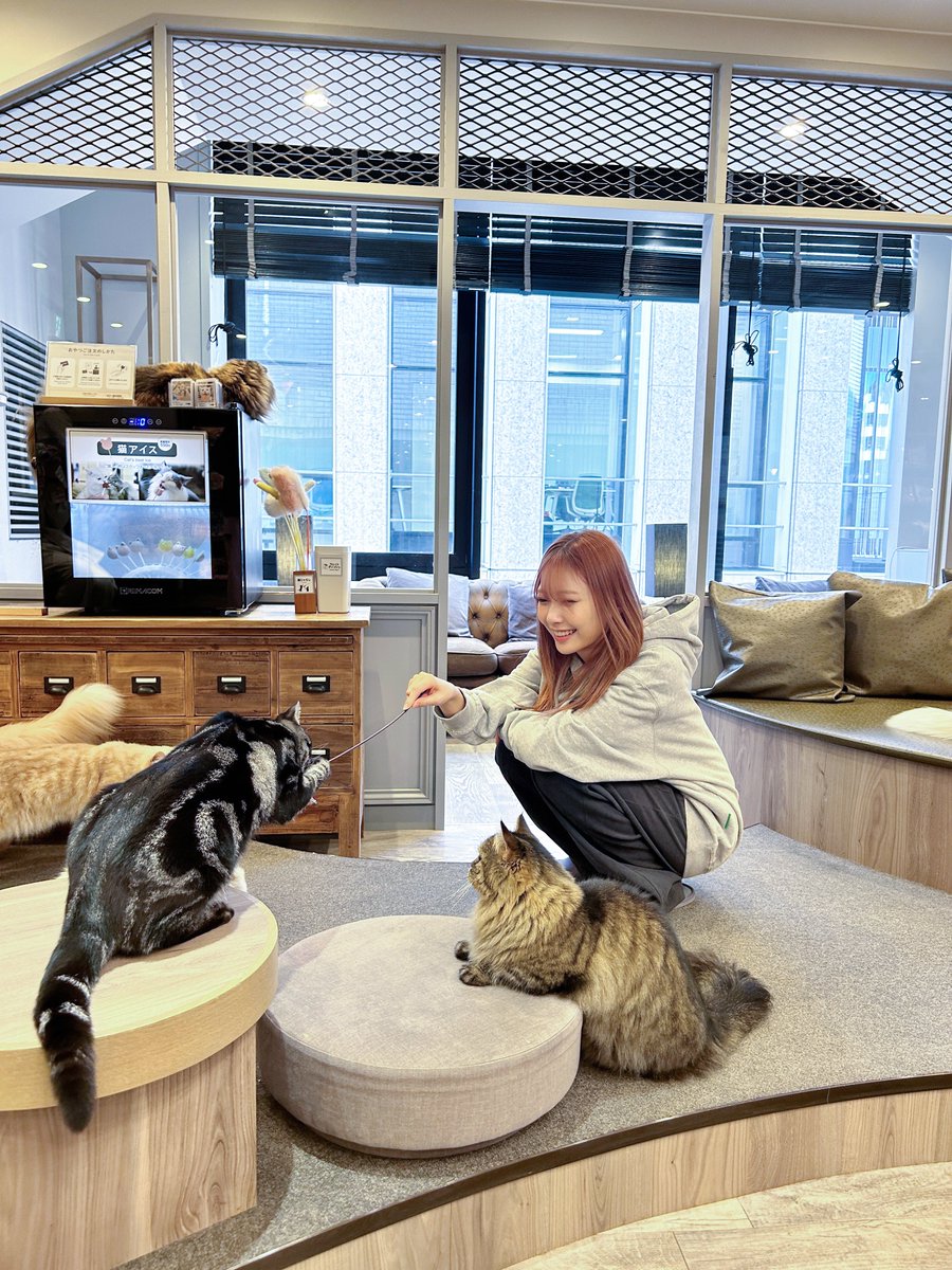 NiziU__official's tweet image. [#NiziU_CAM］
新コンテンツ[#NiziUnplug]！ ∥∥🔌

今回はMAYUKAが猫カフェにお邪魔して
たくさんのねこちゃんたちと遊んできました😸

WithUも癒されたかにゃ？？🐾

▼本編はコチラ🐈ᯤ
youtu.be/3A1D7DjE3GM

#MAYUKA
#NiziU #ニジュー #니쥬 #WithU