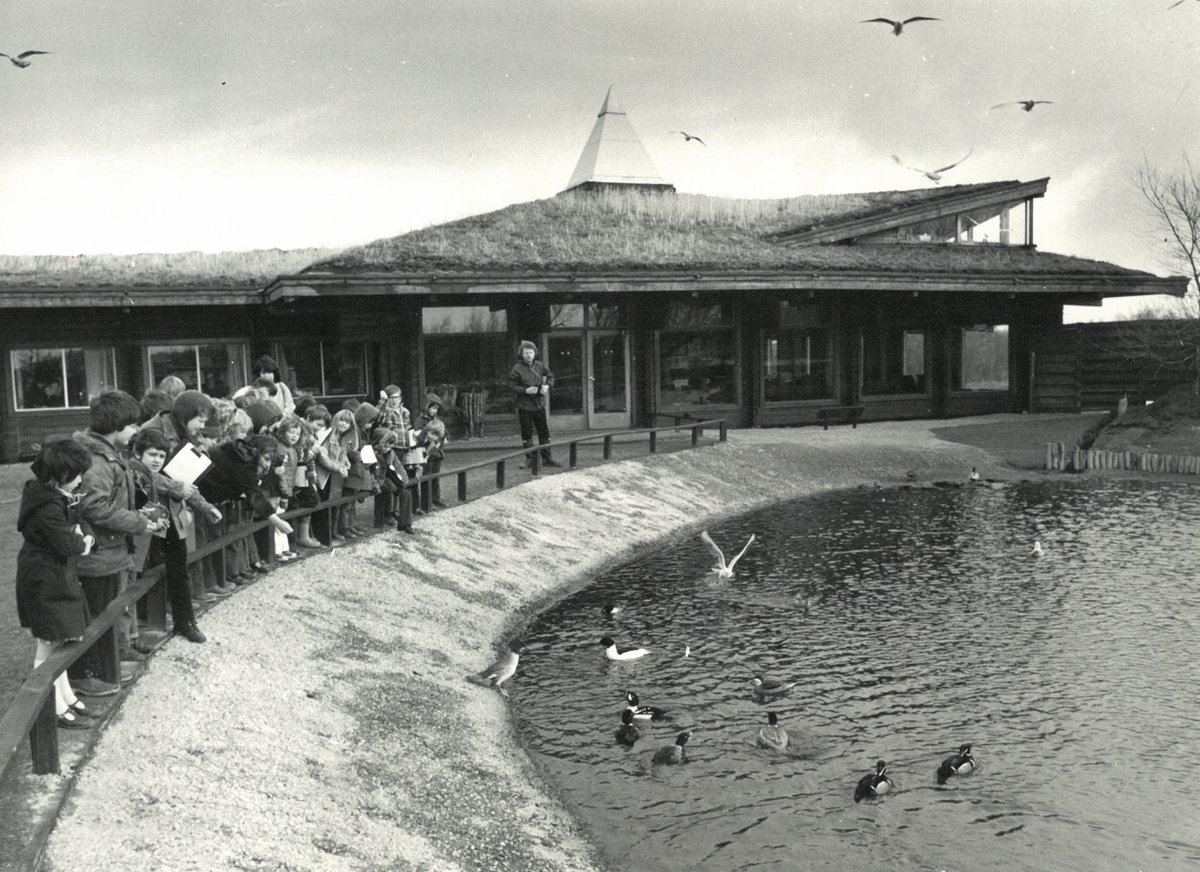 WWT Martin Mere (@wwtmartinmere) on Twitter photo It's our 50th birthday this weekend! π  
And to celebrate, we've got a weekend of pond dipping, an exhibition, before & after trail, and some AMAZING prizes up for grabs for those visiting us 1 & 2 March.  Find out more: ow.ly/x9EX50V4kXQ It's our 50th birthday this weekend! π  
And to celebrate, we've got a weekend of pond dipping, an exhibition, before & after trail, and some AMAZING prizes up for grabs for those visiting us 1 & 2 March.  Find out more: ow.ly/x9EX50V4kXQ