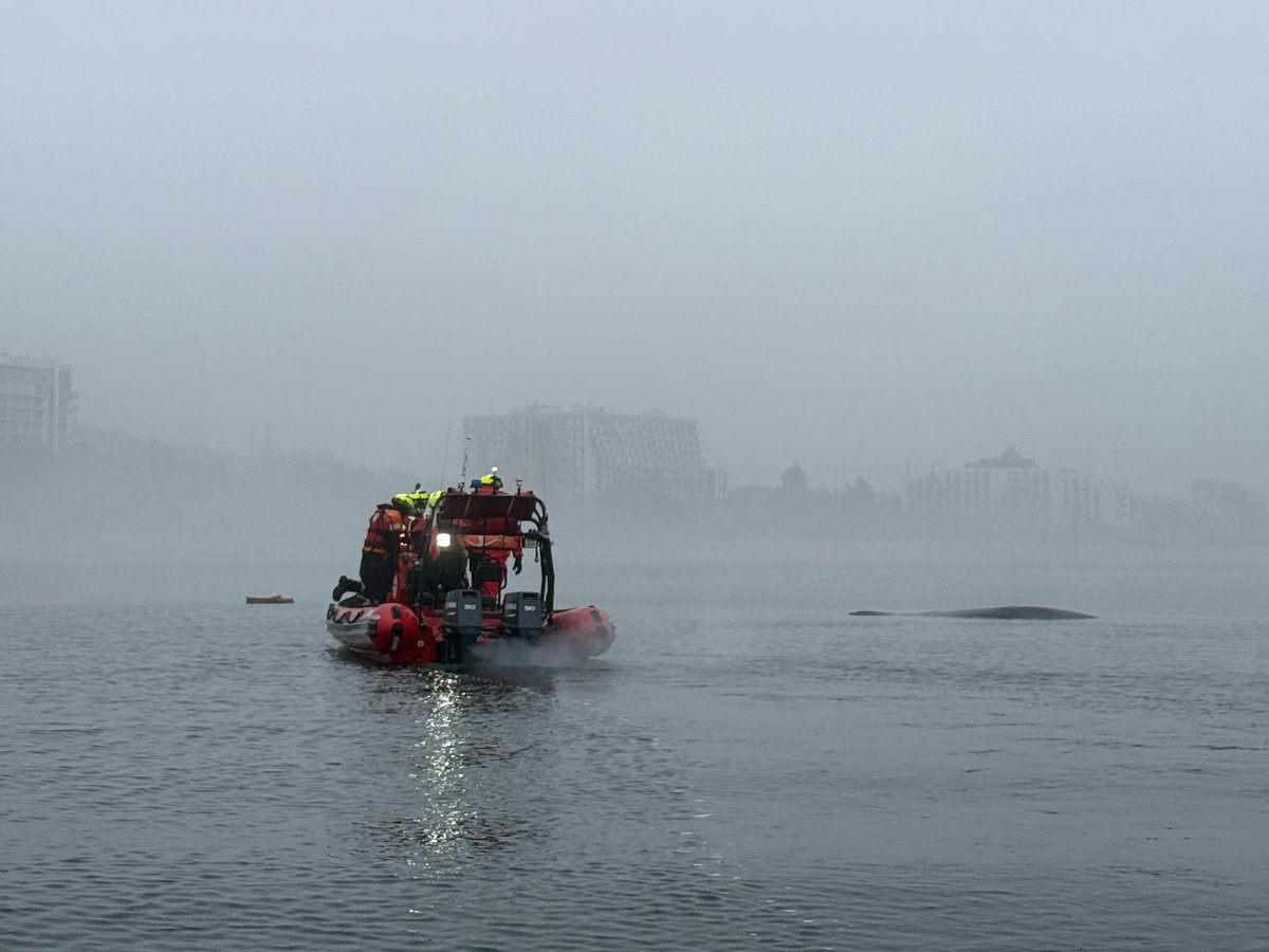 Sebastian Kluska tweet media