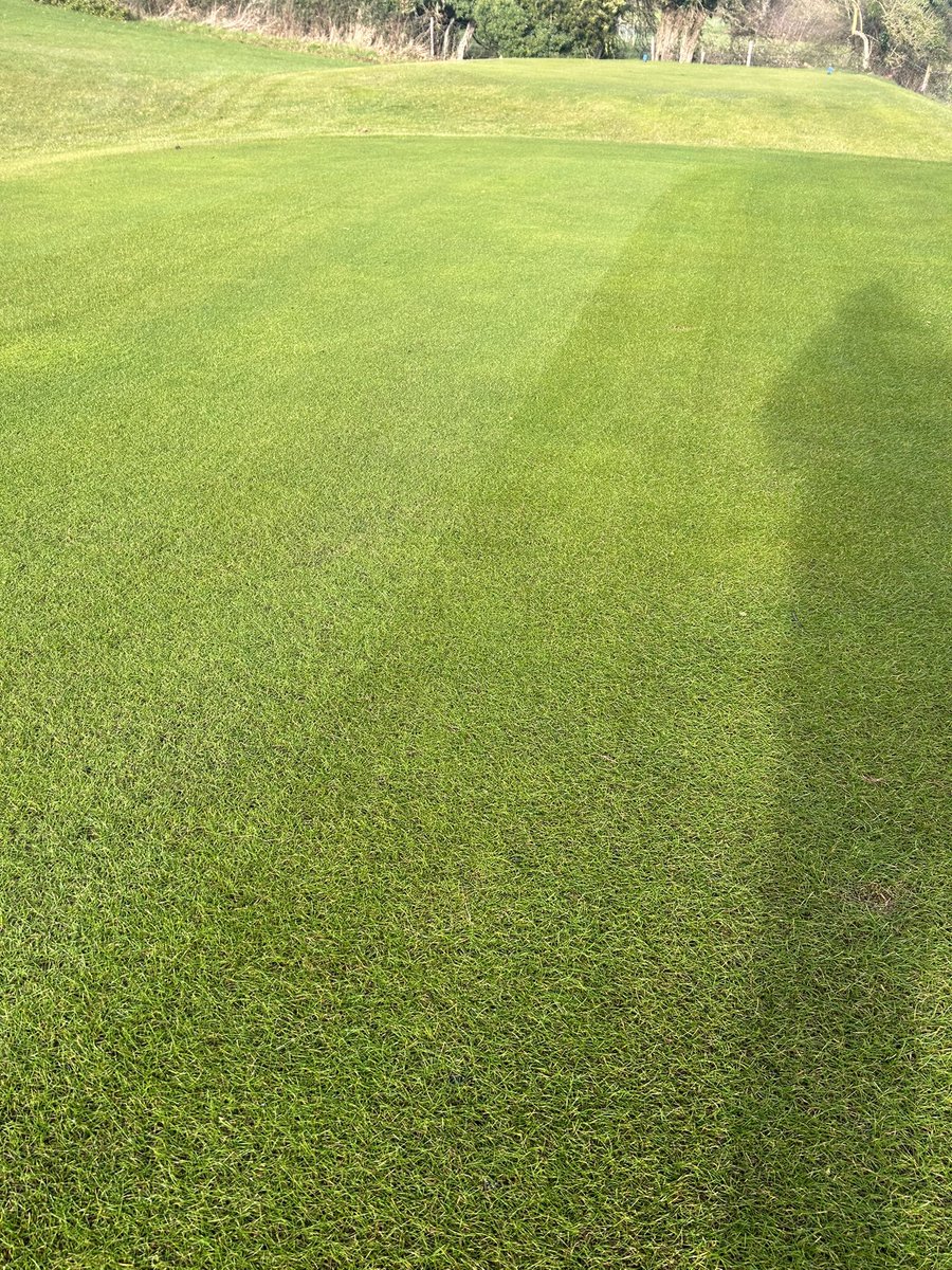 Jack O Kelly Lynch tweet media