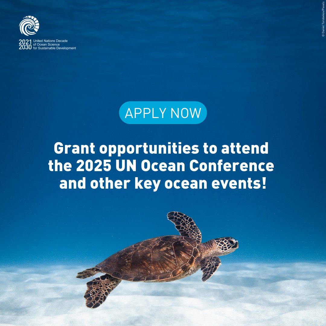 Open now: Grant opportunities to attend the 2025 United Nations Ocean Conference and other key ocean events! 

🚀 Mobility and Travel Grants 2025 by #OceanDecade Contribution 'Our Shared Ocean': ow.ly/Tm7r50V6Jg9  

🚀 IOCAFRICA Travel Grant: ow.ly/bRyy50V6Jga