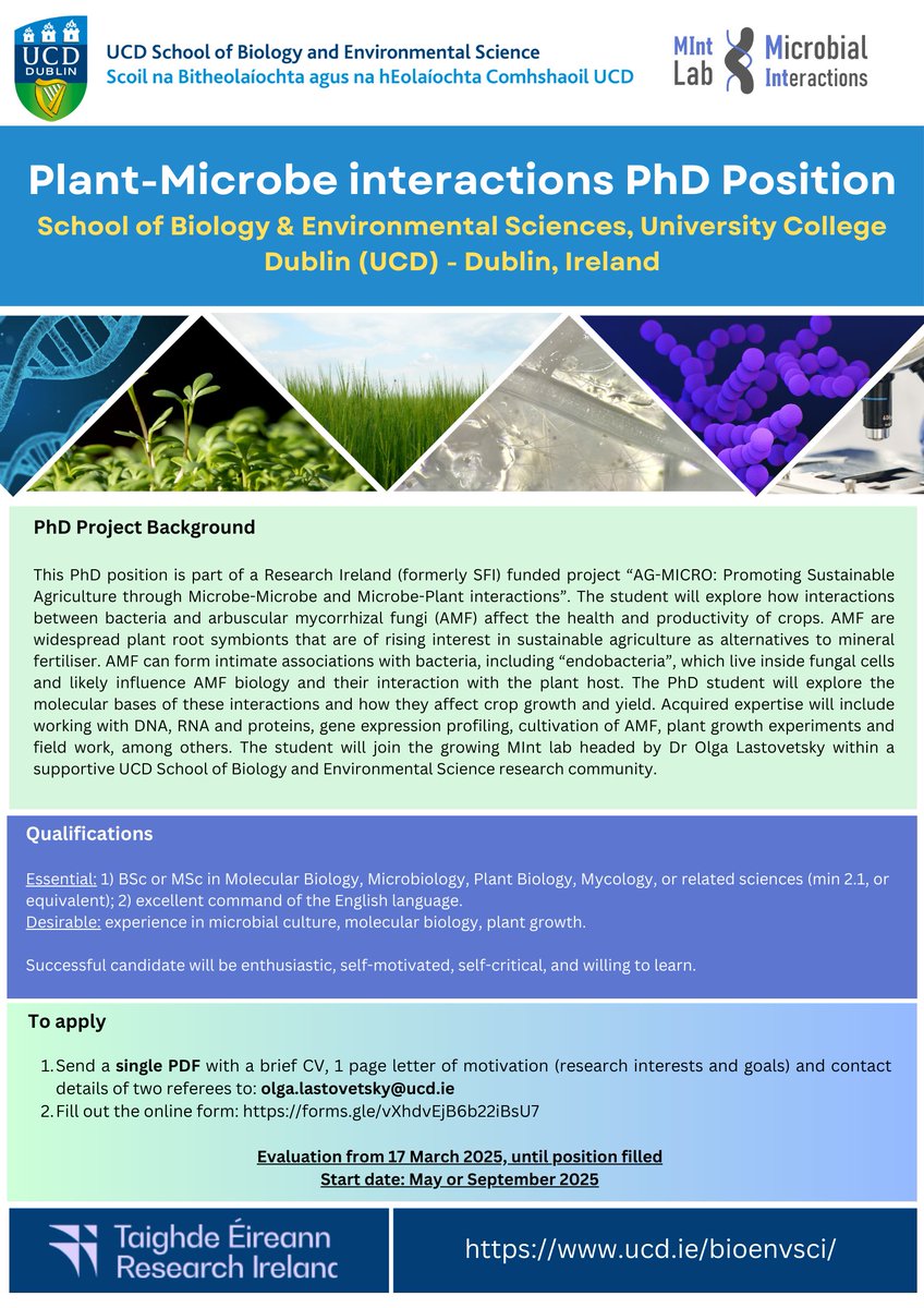 PhD Opportunity Alert! I am seeking a highly motivated candidate for a PhD position in my group (#MIntLab), to work on the topic of Plant-Microbe interactions! Please help spread the word! 🍄🧫🌱#fungi #AMF #bacteria #PhDPosition #ResearchOpportunity #ScienceJobs