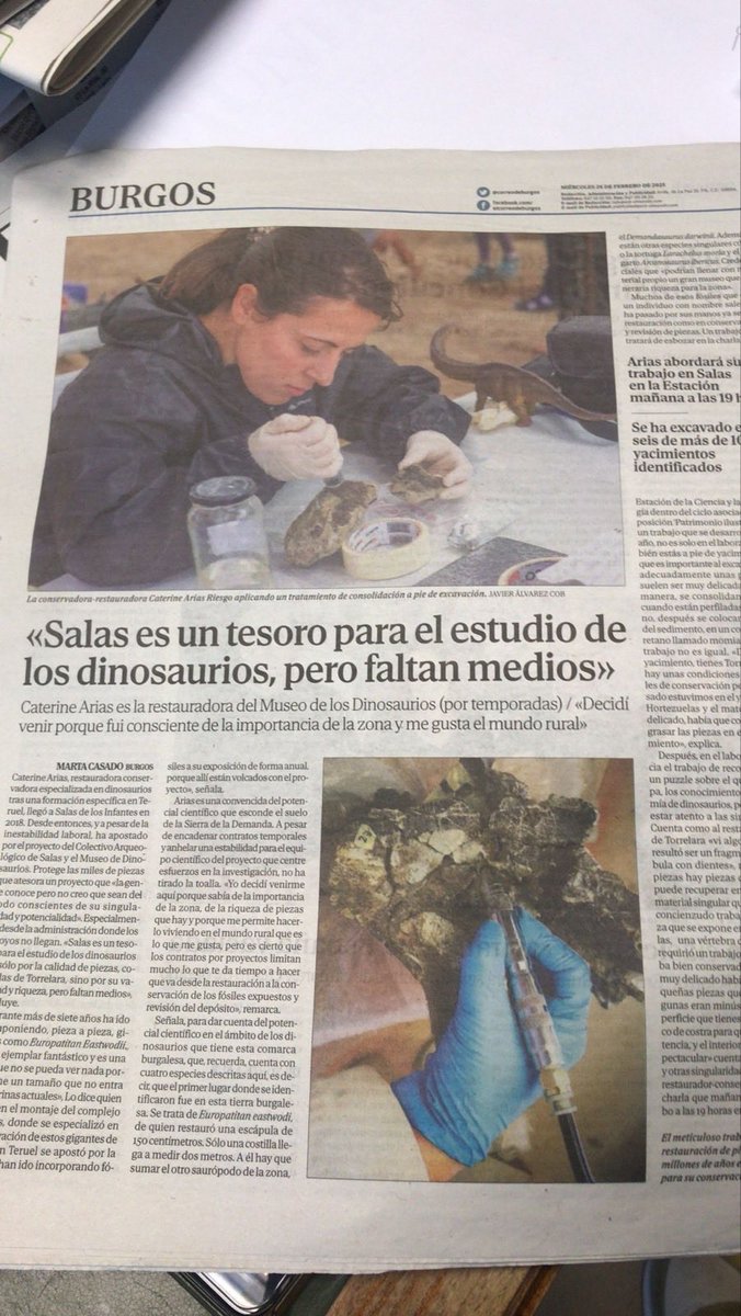 Un museo Paleontológico-Arqueológico que tiene la figura del conservador-restaurador “a temporadas”…En Salas de los Infantes. #Burgos #CastillayLeón