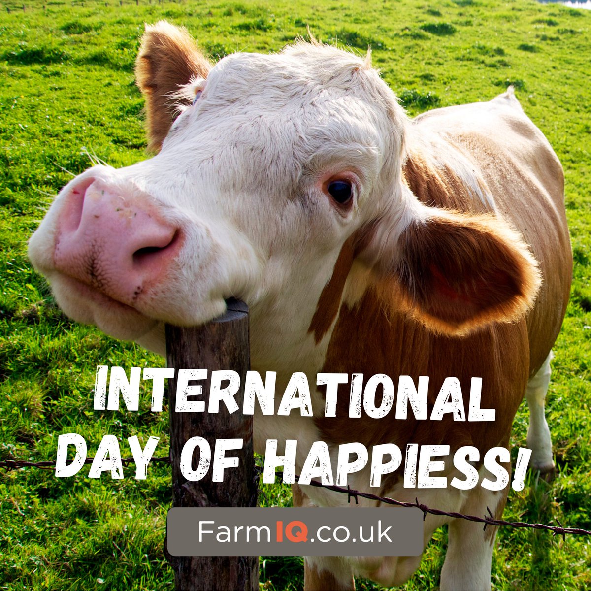 Today is the International Day of Happiness!

Boost your mood - purchase a FarmIQ course and choose from a range of over 25 Online or Face to Face training sessions!

#happiness #behappy #farmanimals #farmmanagement #britishfarming #farmiq #onlinelearning