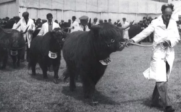 West Mid Showground tweet media