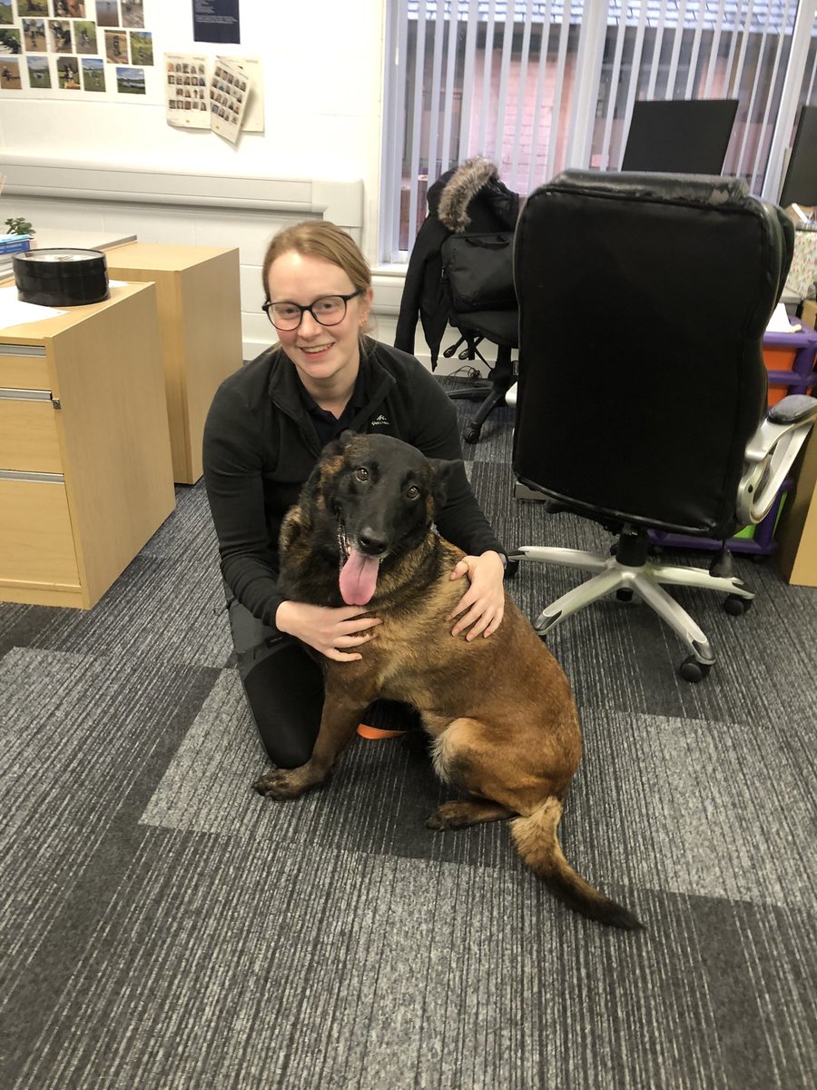 Chappers2013's tweet photo. Spoke at @AngliaRuskin #writtle yesterday about #policedogs training and work. @PBaloo showed that you can overcome adversity and thrive 💙 https://t.co/M63yYtH16H