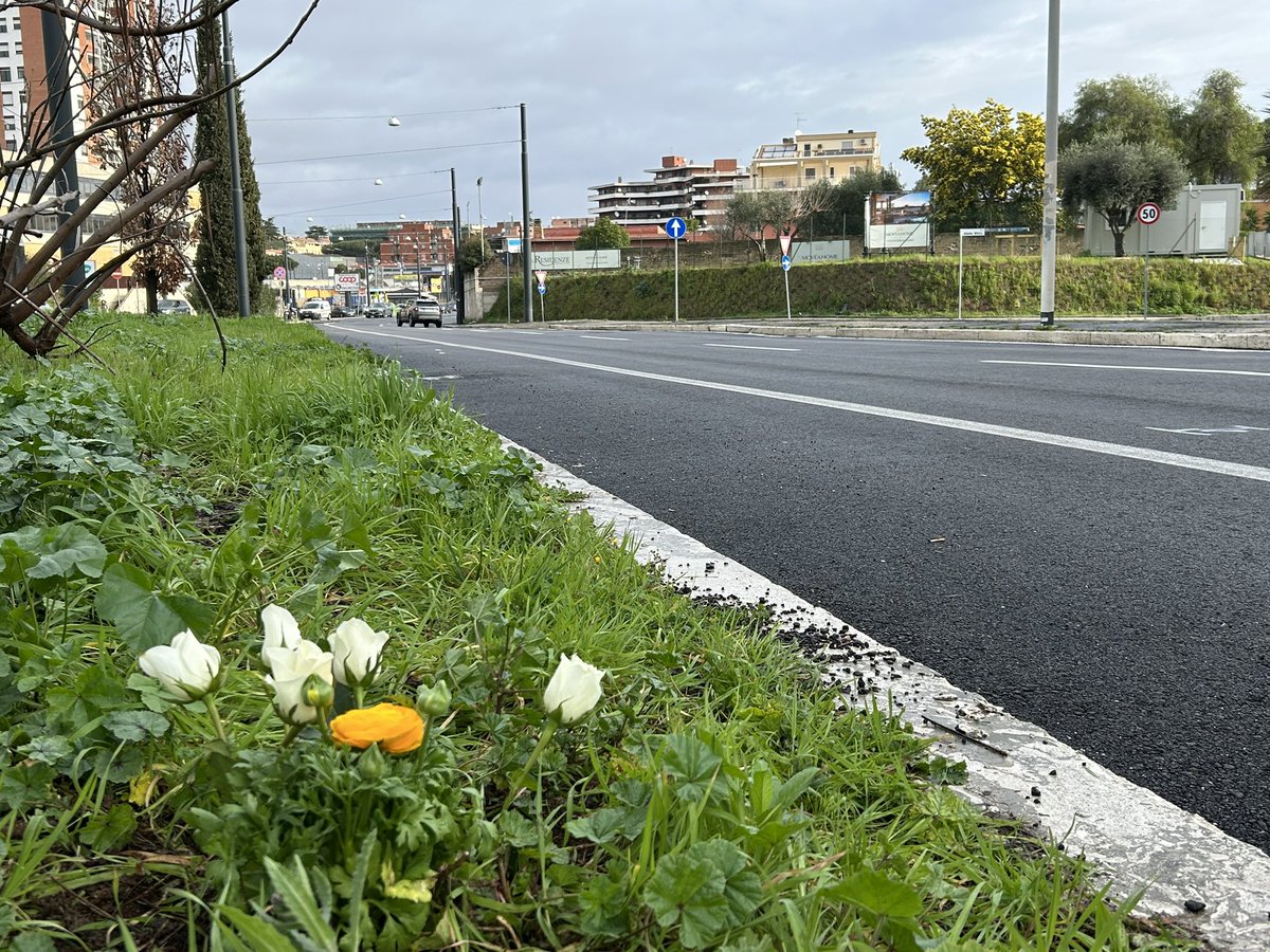 📣Ieri Daniela, 19 anni, è stata investita e uccisa dal conducente di un’auto, mentre attraversava sulle strisce

⚫️Daniela poteva essere chiunque di noi. Chiediamo alle istituzioni misure forti e urgenti per una città sicura e vivibile

Non ne possiamo più

#bastamortinstrada