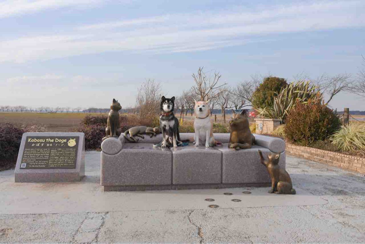 Kabo-chan's
monument ❤️

Much love, much wow! 🐾 Honoring the legacy that brought smiles to millions. Community, memories, and pawsitivity all in one place. 🌱❤️ 

#Takki #DogeForever #Kabosumama