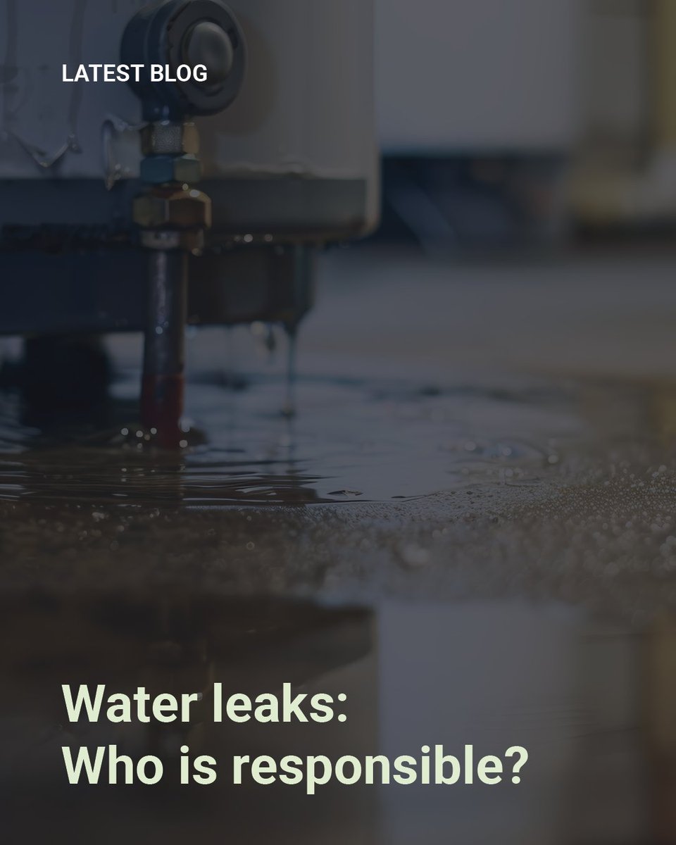 Castle Water tweet media