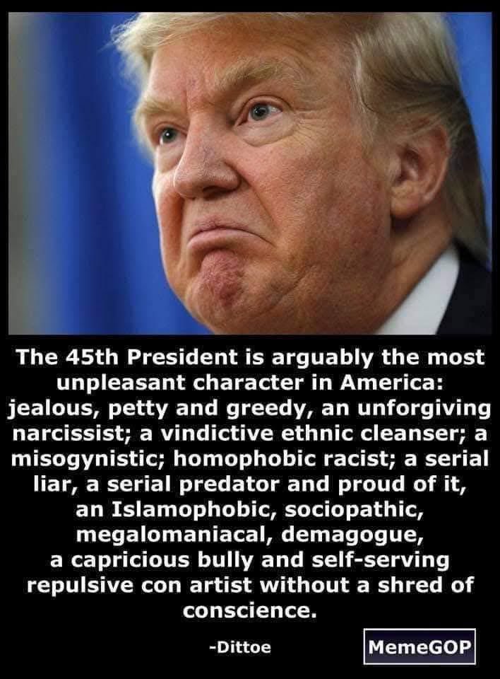 <a href="/1goodtern/">tern</a> It's just sick. Are America just sitting back and watching this idiot turn their Country in to rat shit? Is anybody standing up to him?