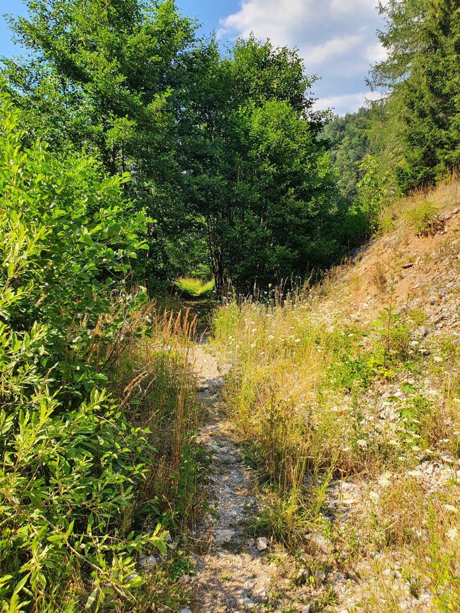 RJonTourUK (@rjontouruk) on Twitter photo Enjoy a nice hike? There are many wonderful places to visit for a walking or hiking holiday in Croatia.
rjontour.com/hiking-croatia/ #croatia #hikingadventures #travel Enjoy a nice hike? There are many wonderful places to visit for a walking or hiking holiday in Croatia.
rjontour.com/hiking-croatia/ #croatia #hikingadventures #travel