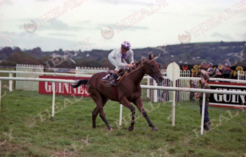Pat Healy (@patcashhealy) on Twitter photo Listowel Harvest Festival 1980 <a href="/ListowelRaces/">Listowel Races</a>
#45yearsago #archives #fromthearchive #memories #HorseRacing #HealyRacing #ReelingInTheYears
Ormus and Declan Gillespie win for owner Jackie Bolger & trainer Jim Bolger.
(c)healyracing.ie Listowel Harvest Festival 1980 <a href="/ListowelRaces/">Listowel Races</a>
#45yearsago #archives #fromthearchive #memories #HorseRacing #HealyRacing #ReelingInTheYears
Ormus and Declan Gillespie win for owner Jackie Bolger & trainer Jim Bolger.
(c)healyracing.ie