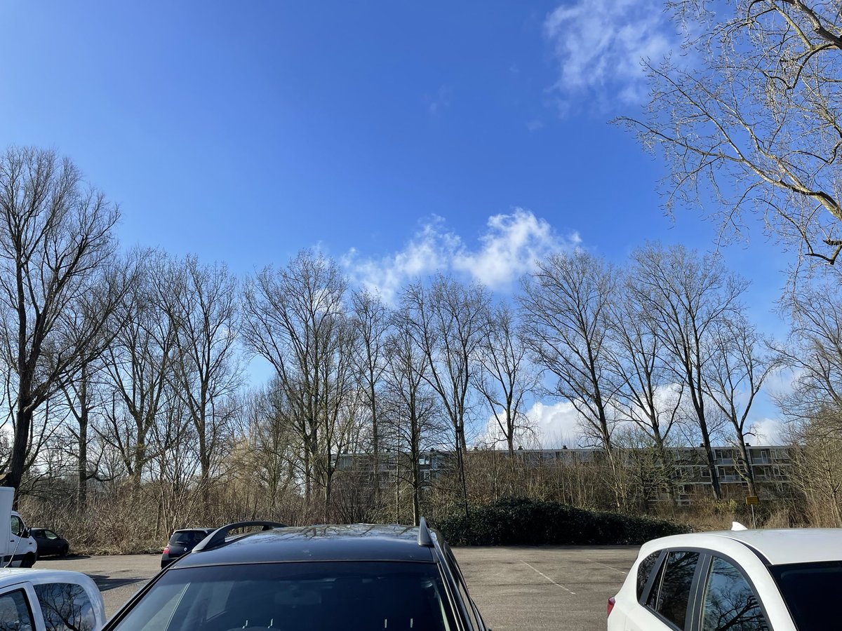 speaker_aad's tweet image. Even fact-checken of de melding van @Dokajunk over de roeken juist is. Ik zie ze op dit moment niet!