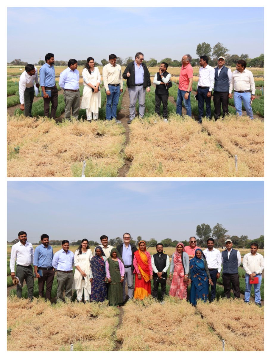 Dr. Michael Baum, <a href="/ICARDA/">ICARDA</a> Research Team Leader, &amp; Dr. Shiv Kumar, Regional Coordinator for South Asia &amp; Director <a href="/ICARDA/">ICARDA</a>-FLRP, visited lentil research trials at ICARDA-FLRP, Amlaha, India. They reviewed progress on #Mechanical_harvestable, #Herbicide #Salinity tolerant in lentil.