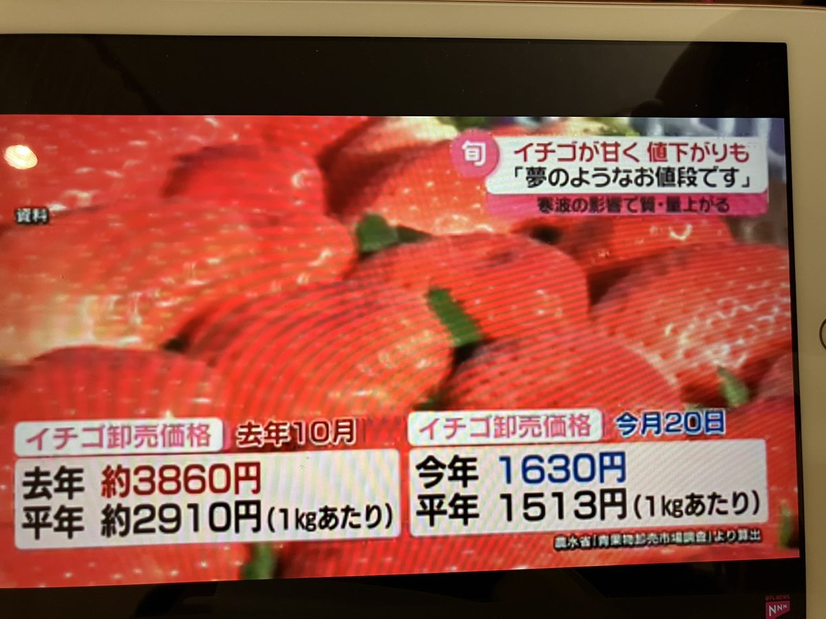 imaisachio's tweet photo. 薬💊が良く効いてるのか⑧時やのに超眠いのでYouTube今夜はお休みです　ございなさいm(_ _)m  で、一ついいニュースを🍓　😍　値段下が��たよーーー　苺狩りとか楽しみやね😊＃shorts https://t.co/ublgPclM8Q