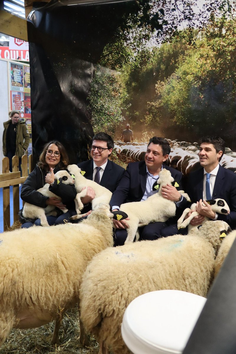 CMoulenat's tweet image. À la rencontre de ceux qui nourrissent les français.
Leur engagement mérite respect et soutien.
La chance de pouvoir visiter le SIA avec @AurelienPradie, @RSCactu, @phdumont, @GuillaumeLEPERS @IsabellePERIGA2, à l’écoute de nos agriculteurs et des défis auxquels ils font face.