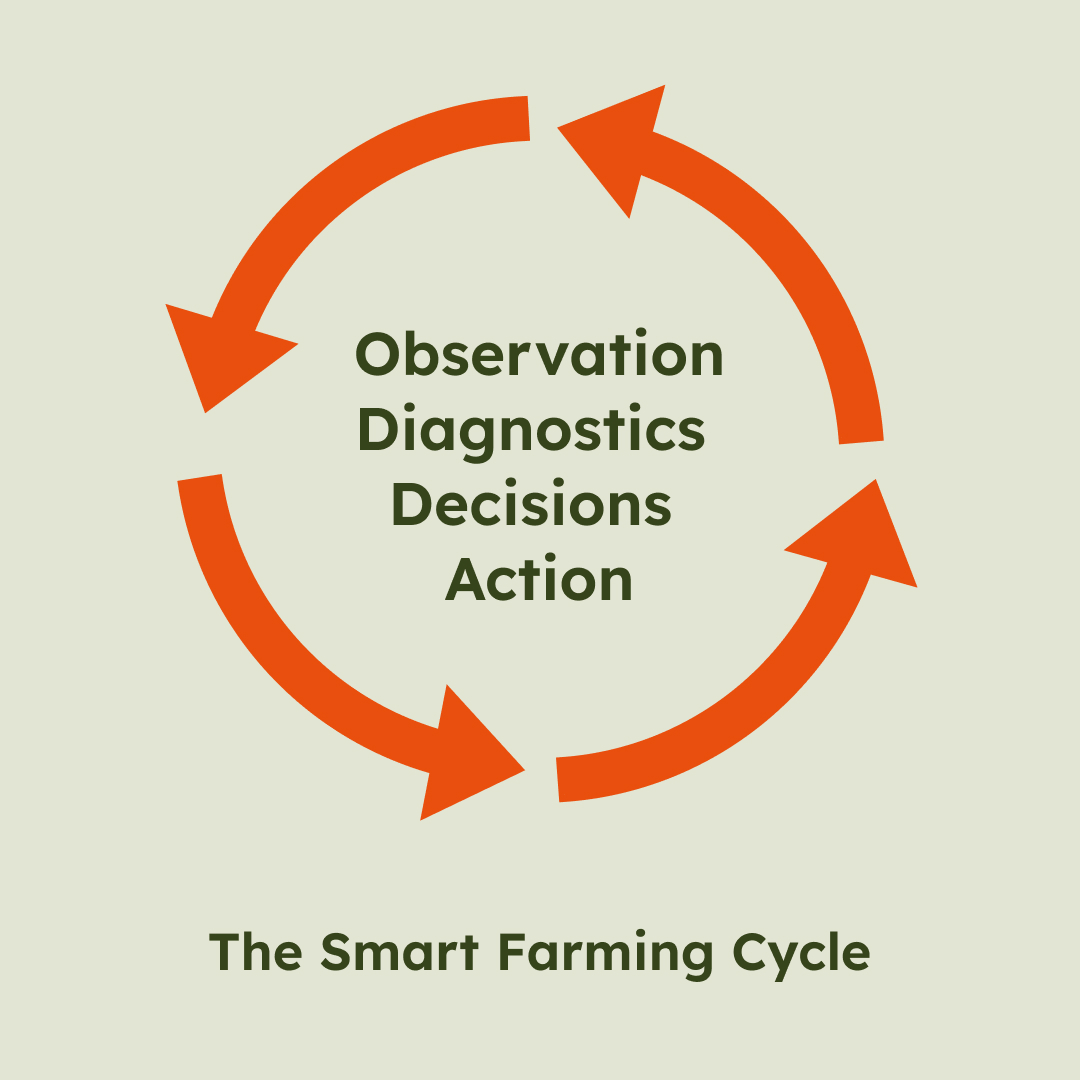 Arvorum UK tweet media