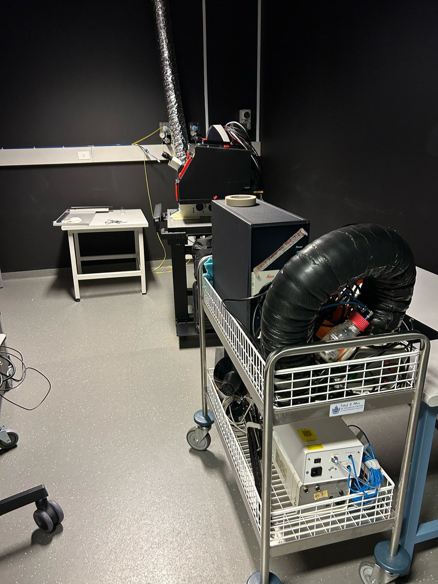 NeuroStemLab tweet picture