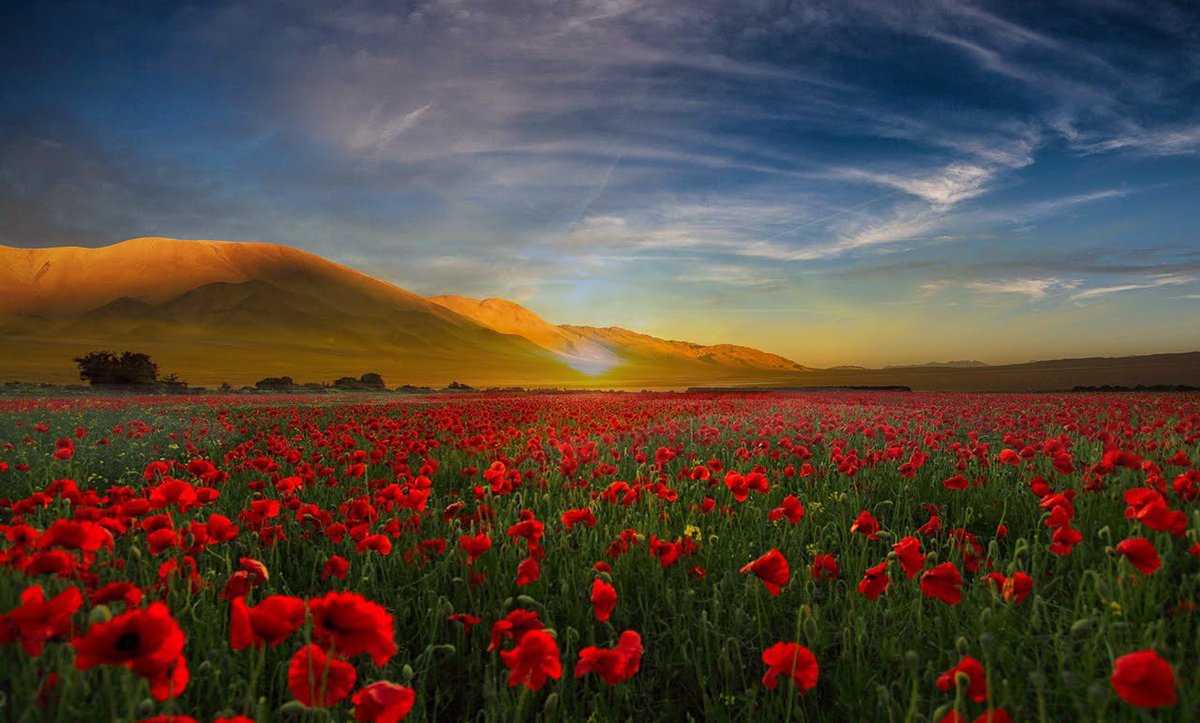 ☑︎Photoshop

教材を進めながら色々な機能を試し中です！
Photoshop楽しいけれど、できることが多すぎて混乱😂

画像は、レイヤーマスクを使って2枚の写真を自分で合成したものです✨

#webcoach #ウェブコーチ #webデザイン勉強中